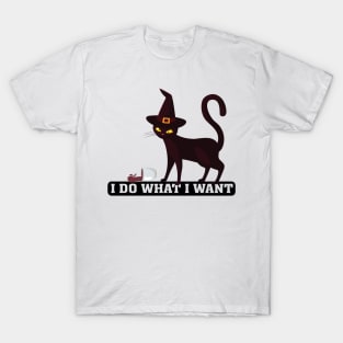 I Do What I Want Cat Lover Sunglasses cat T-Shirt